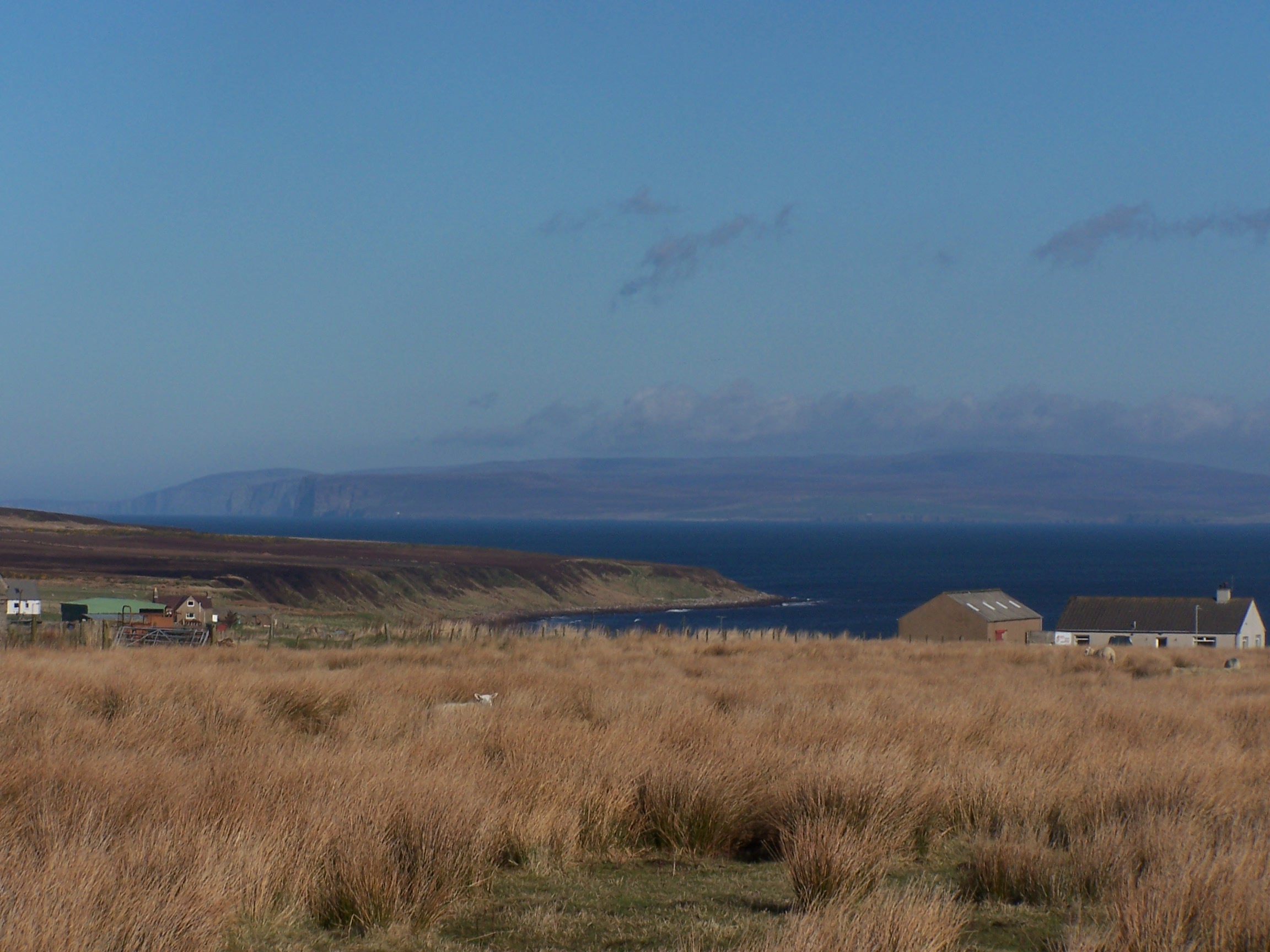 Looking Out to Orkney