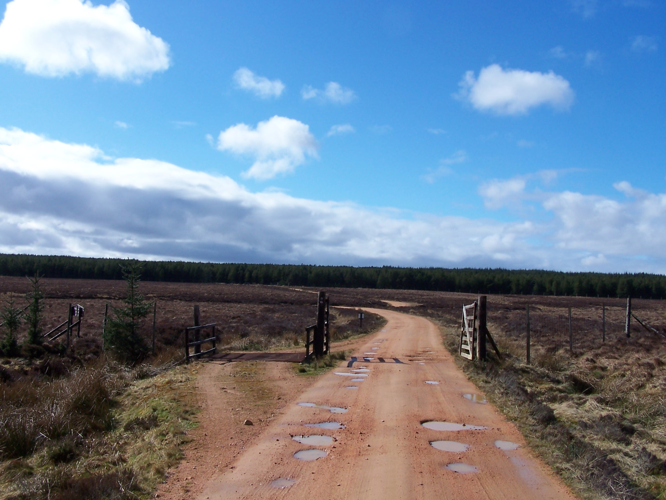Sandy Track