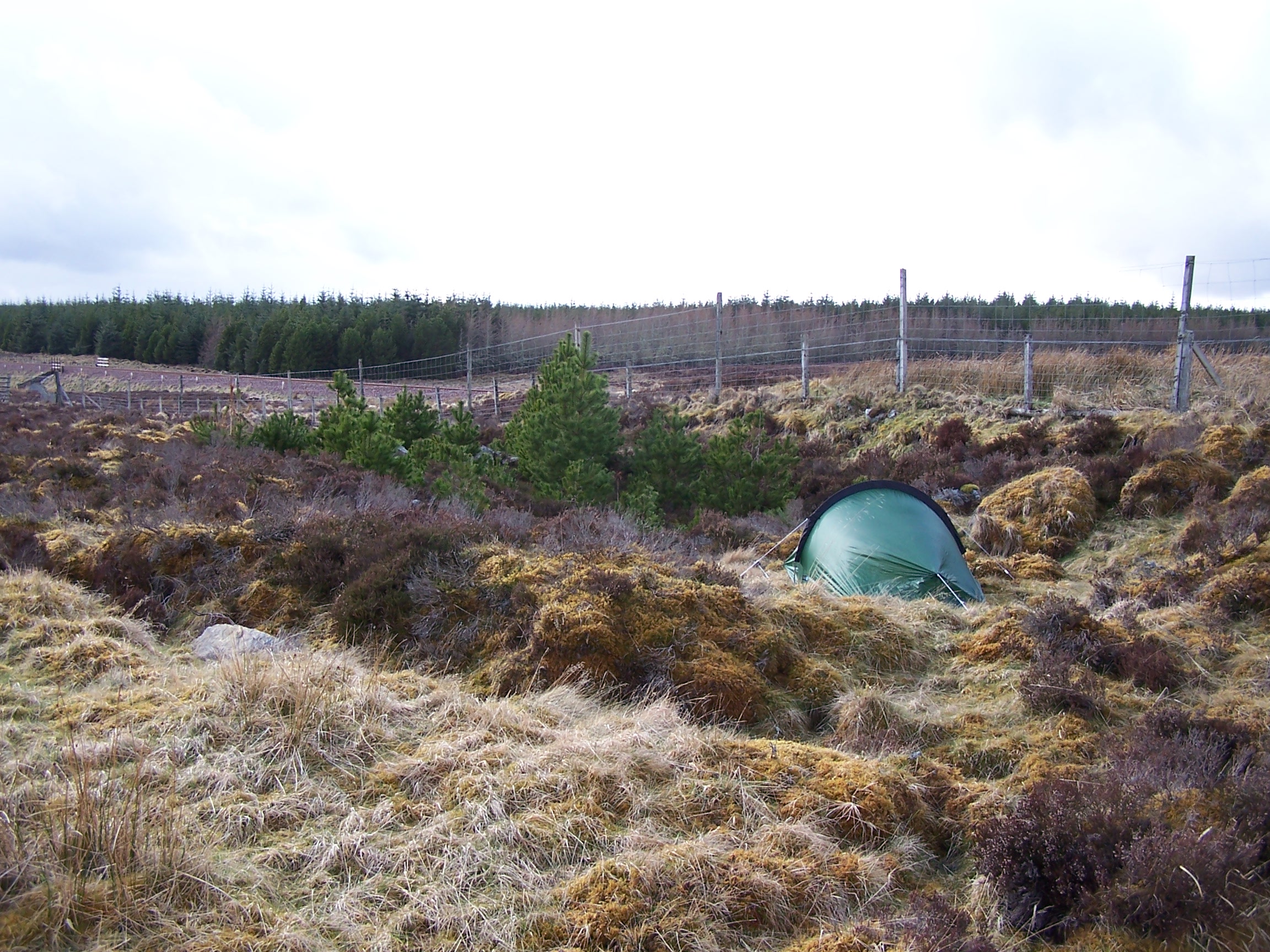 Altnabreac wildcamp