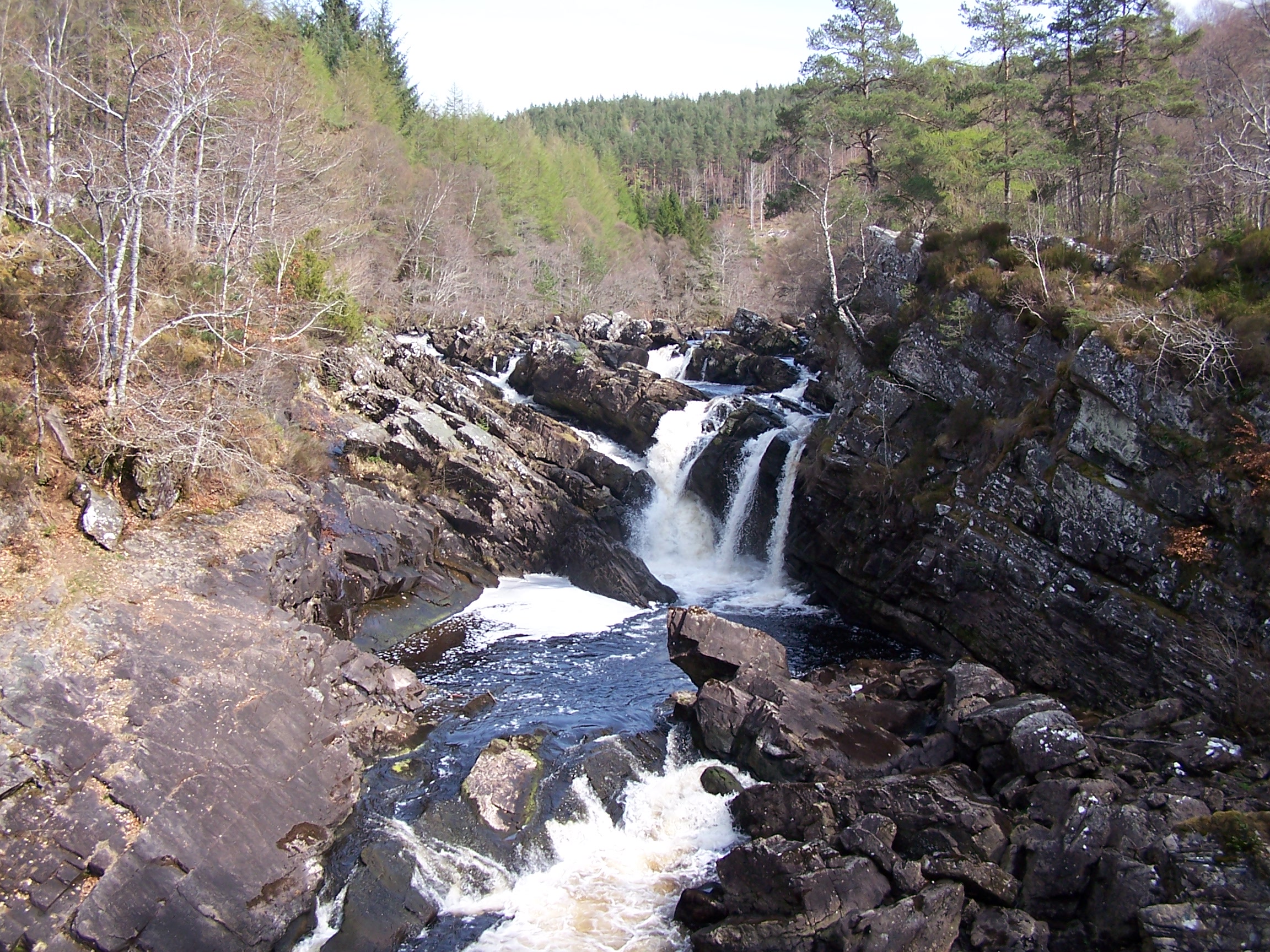 Rogie Falls