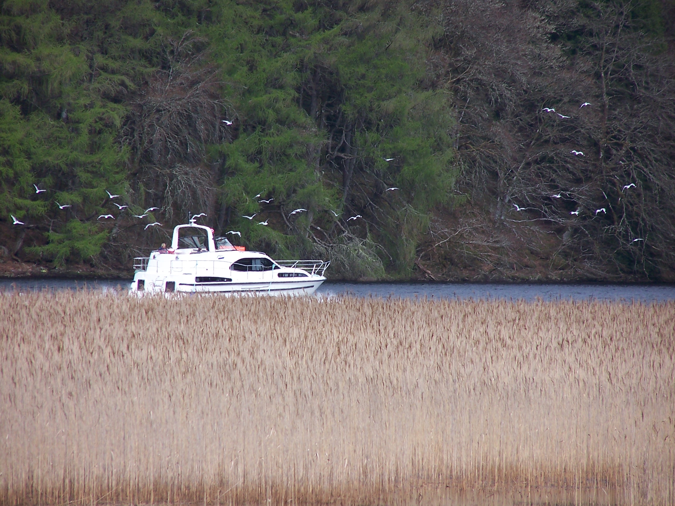 Loch Oich near Laggan