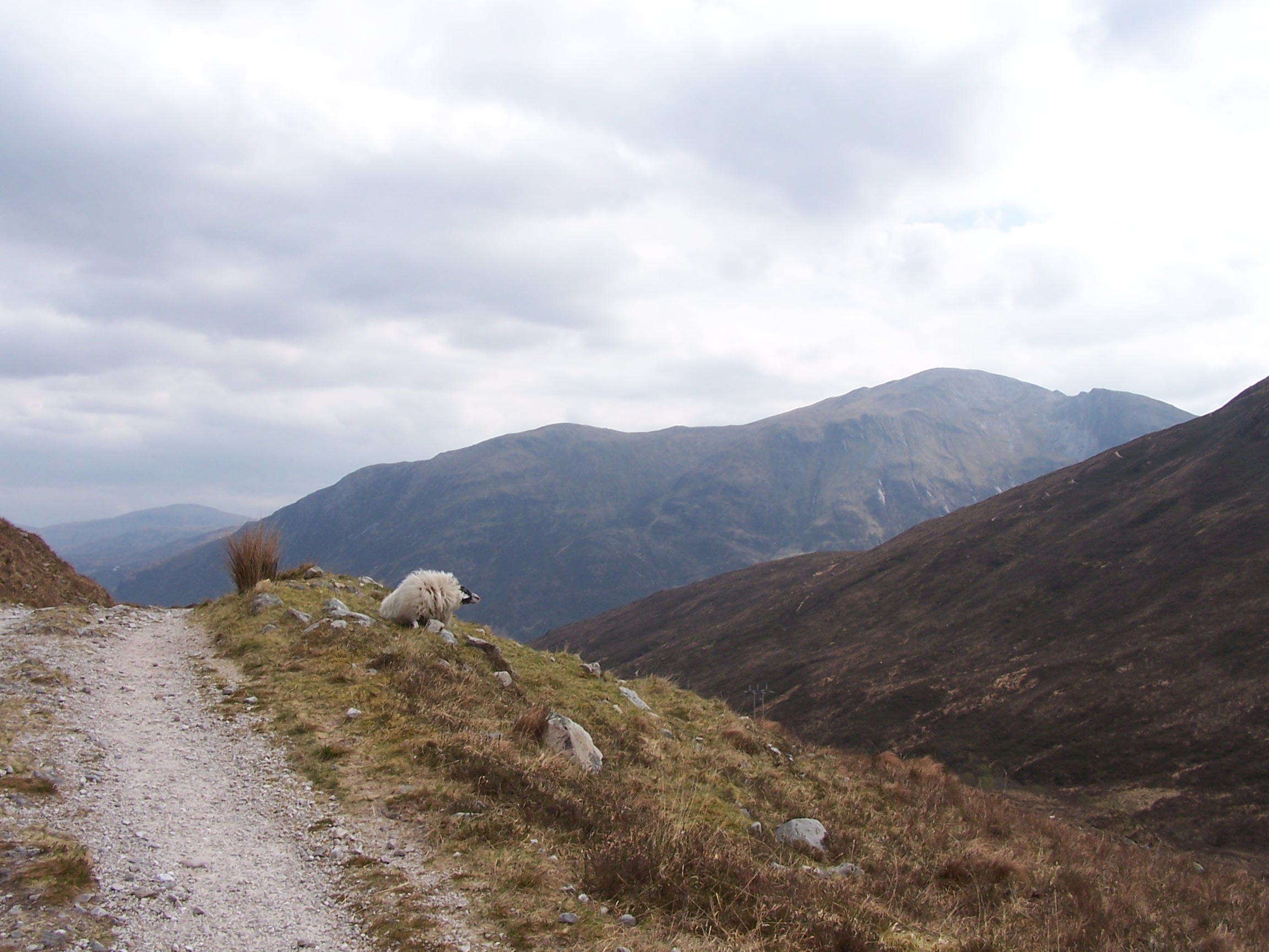 Mountain Mountain