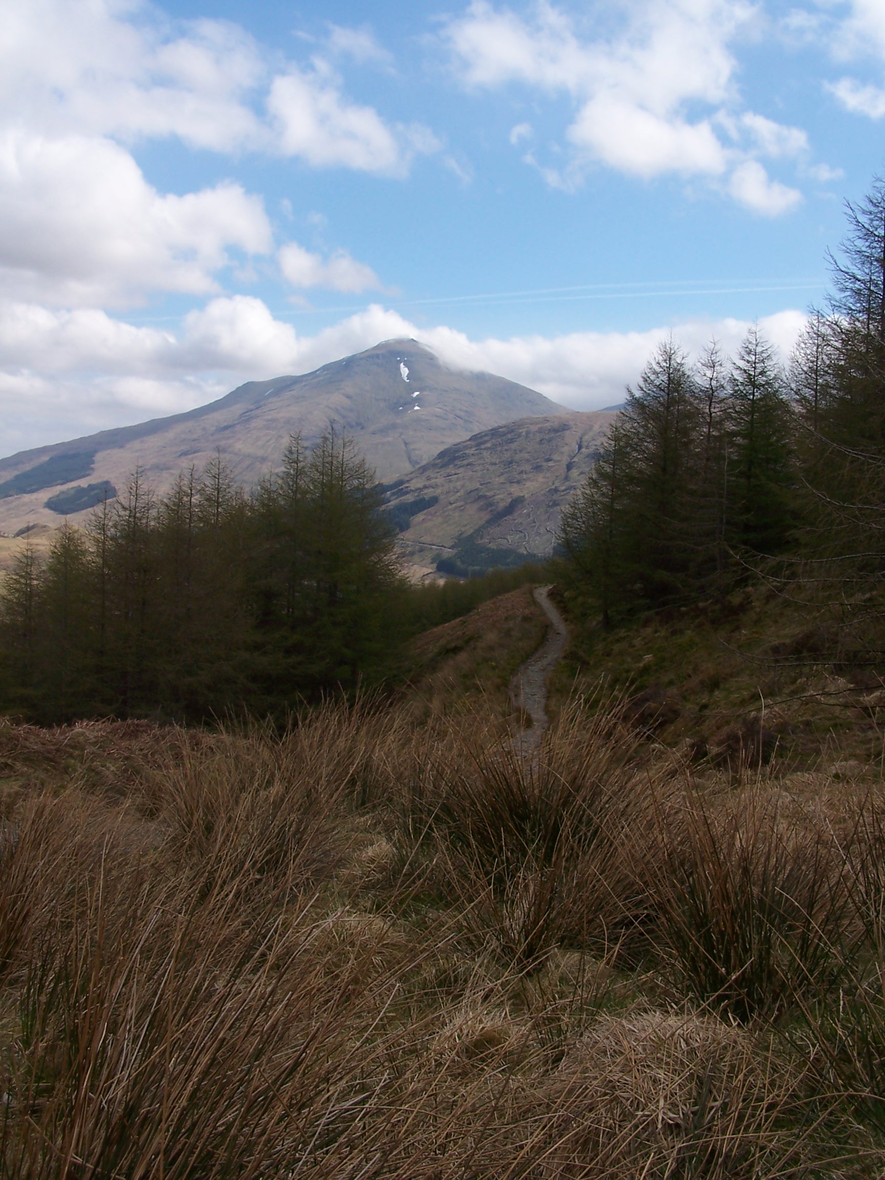Ben More through the trees
