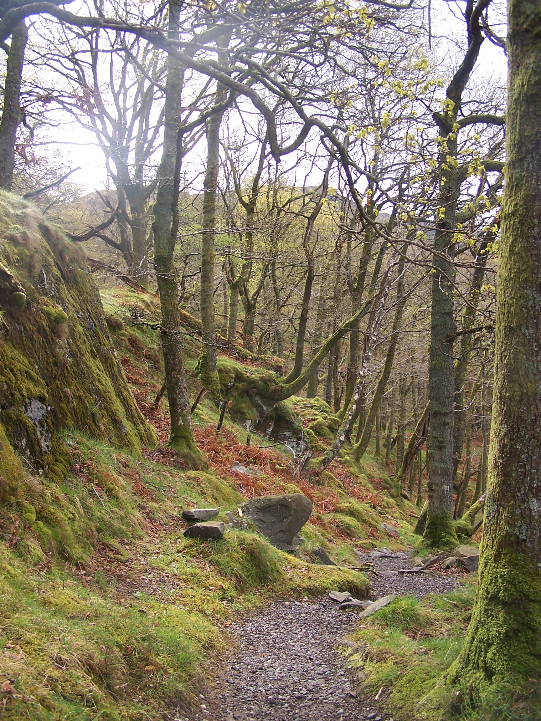 WHW lochside