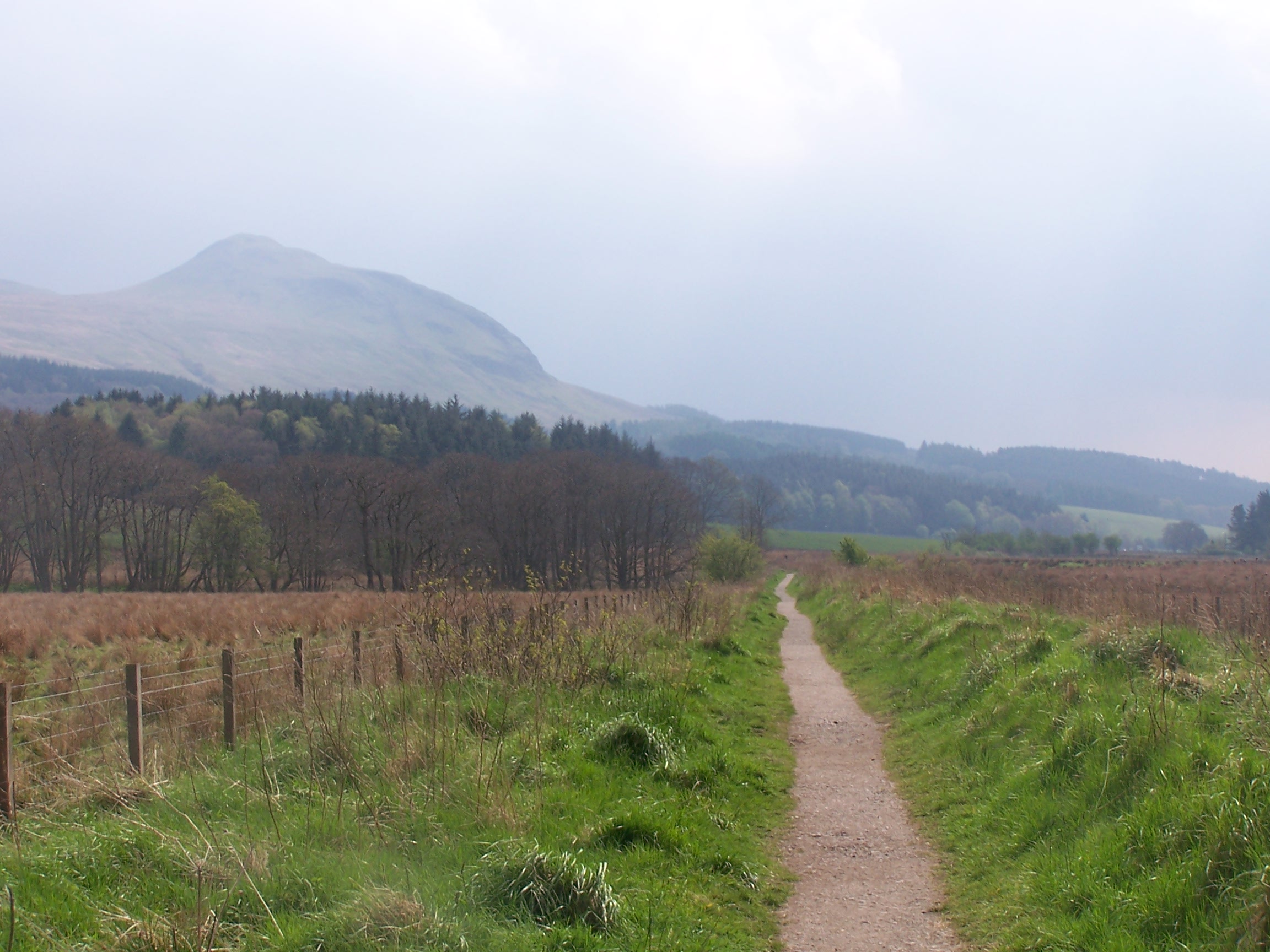 Dumgoyne from WHW