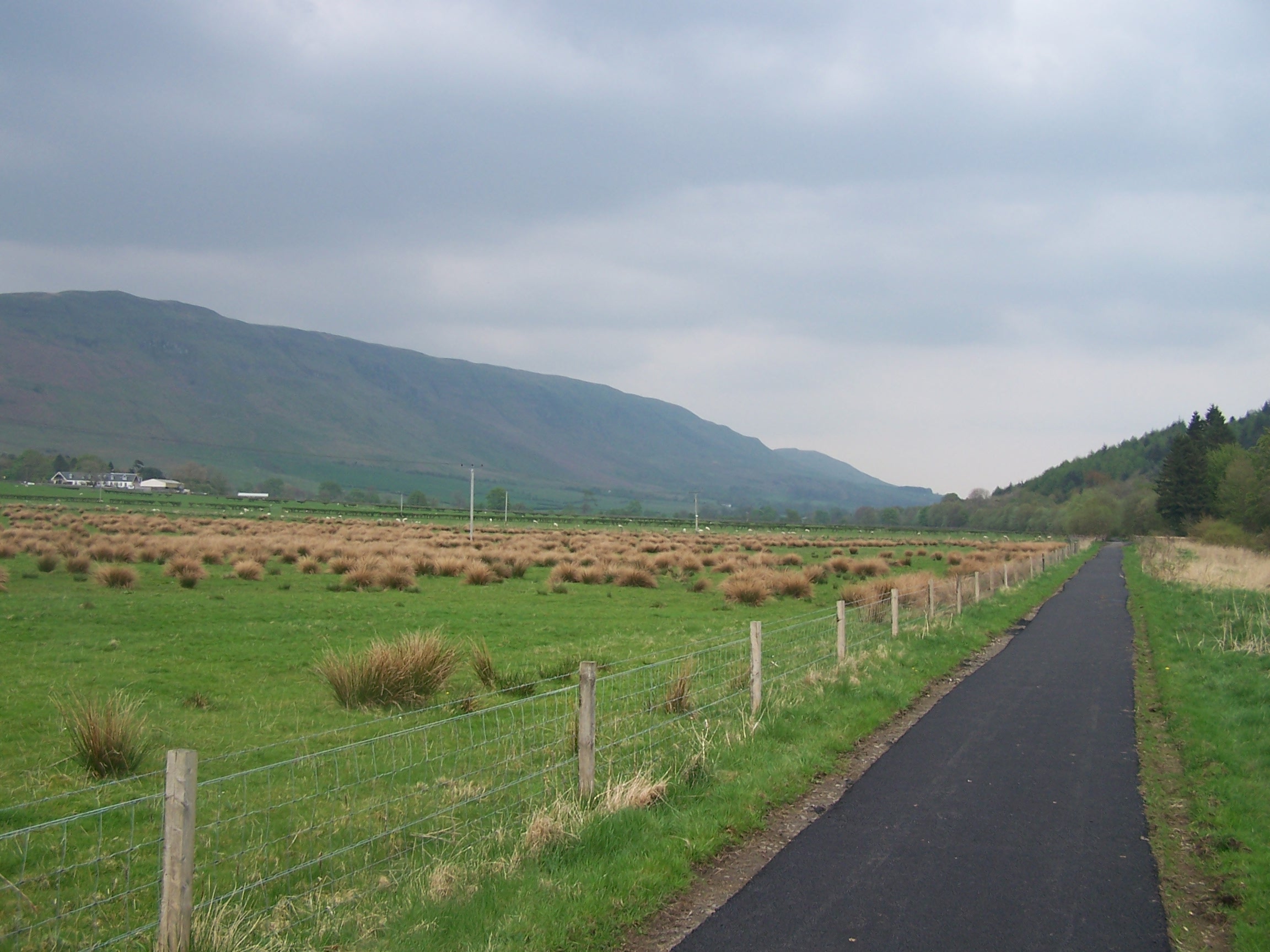 Old Strathblane railway path