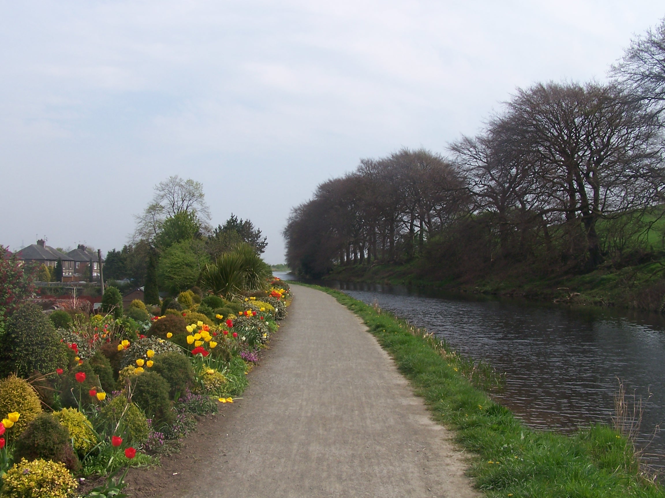 Flowers on the canal