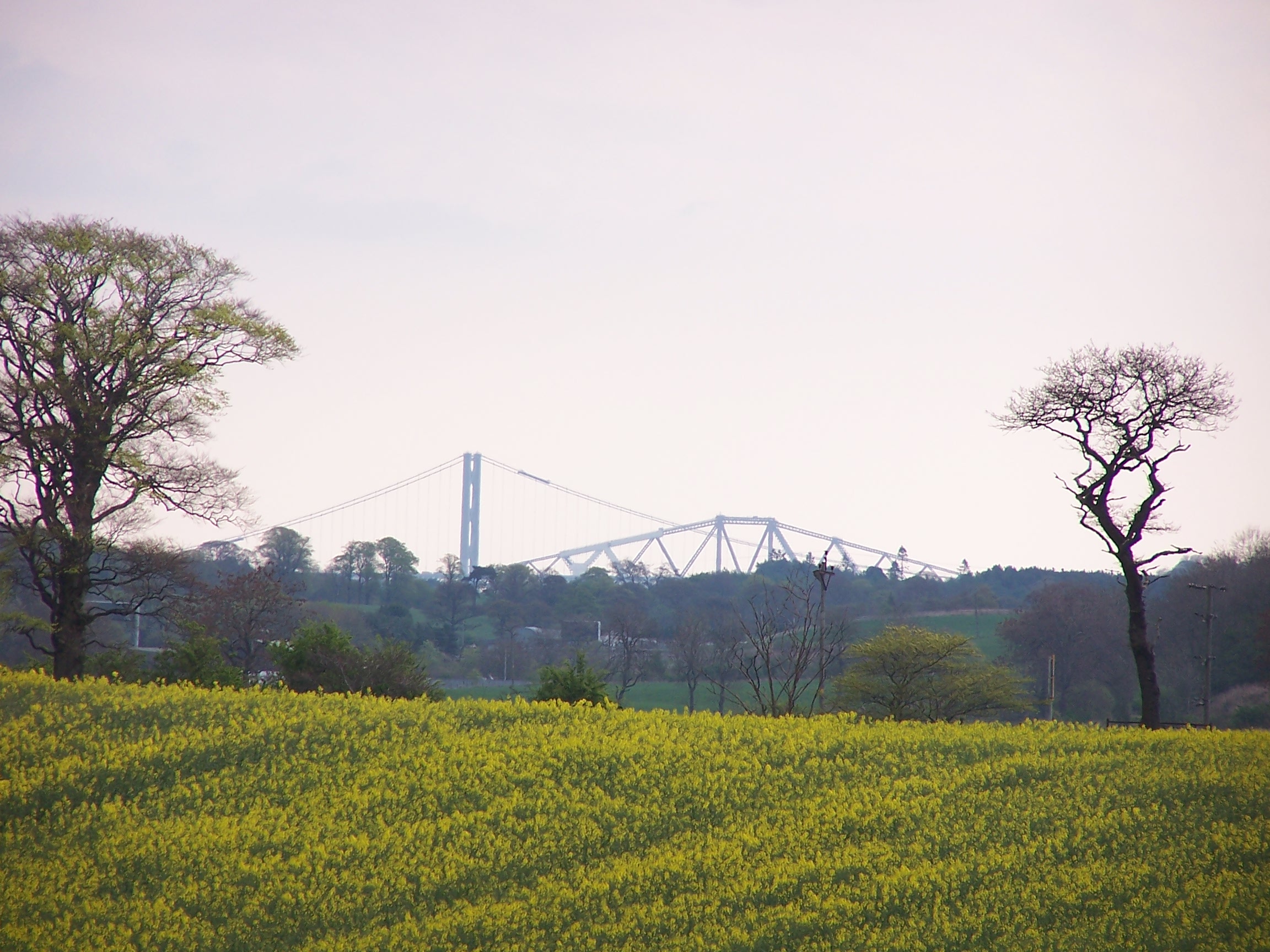 Forth Bridges