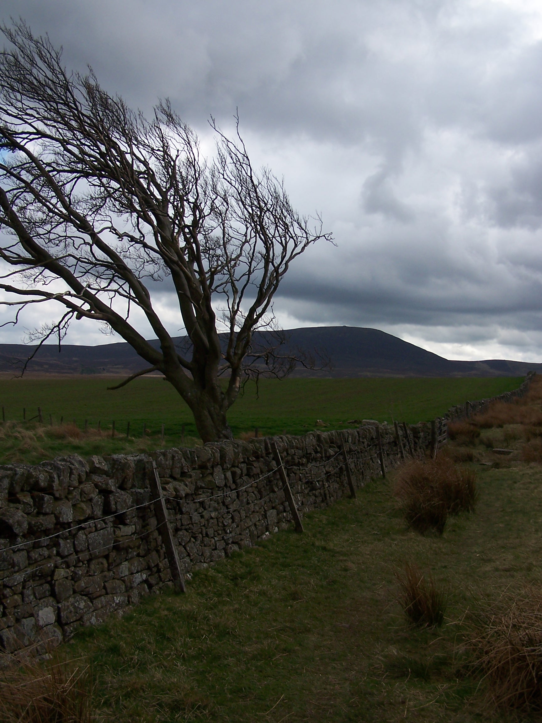 Pentland Hills