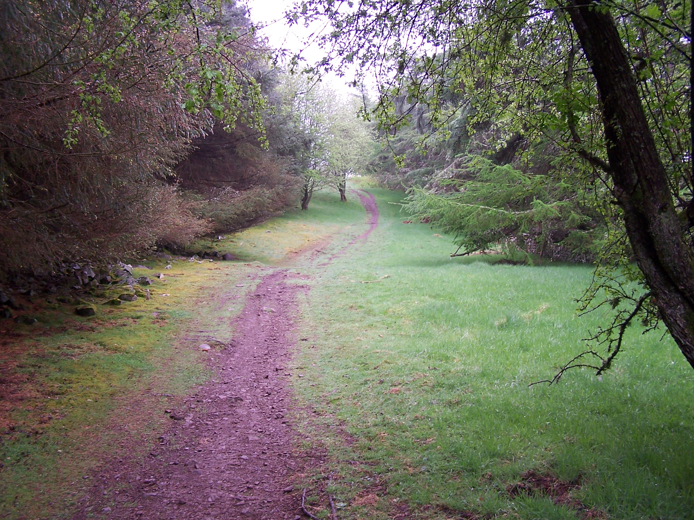Old Drovers Road