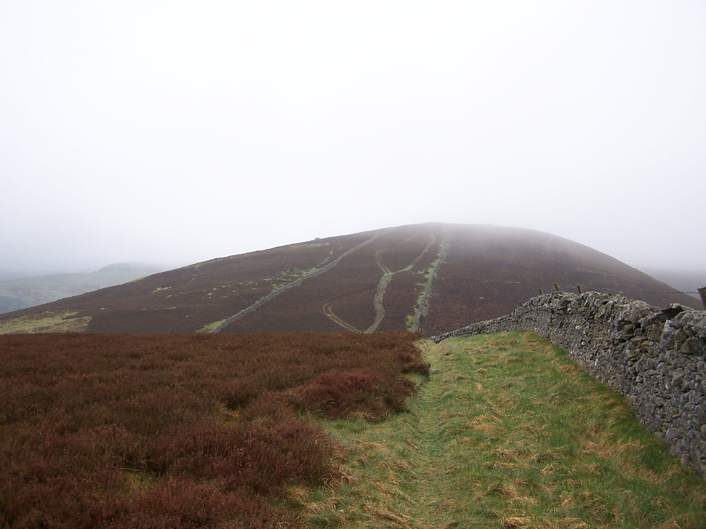 Craig Head
