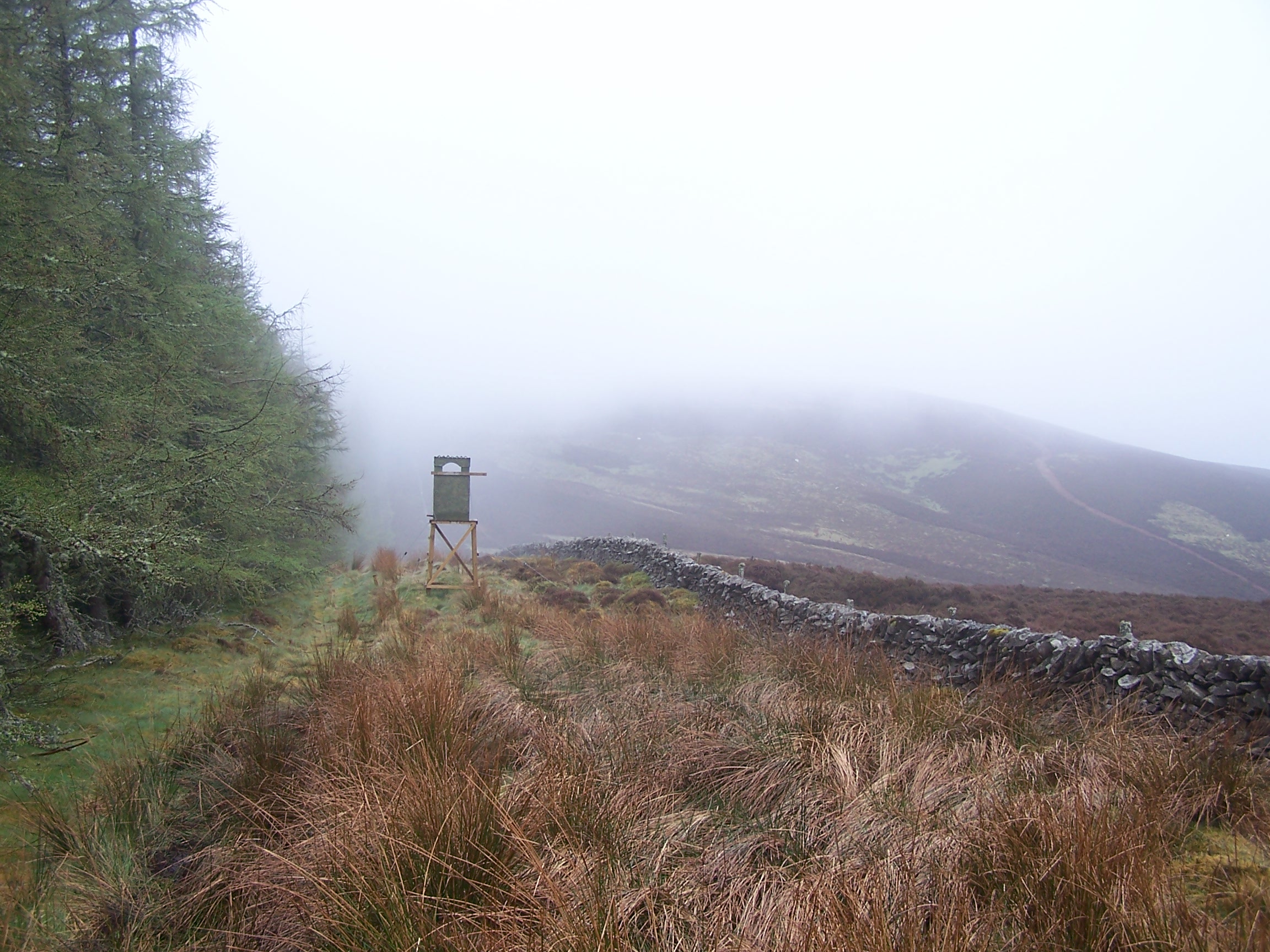 Lookout tower