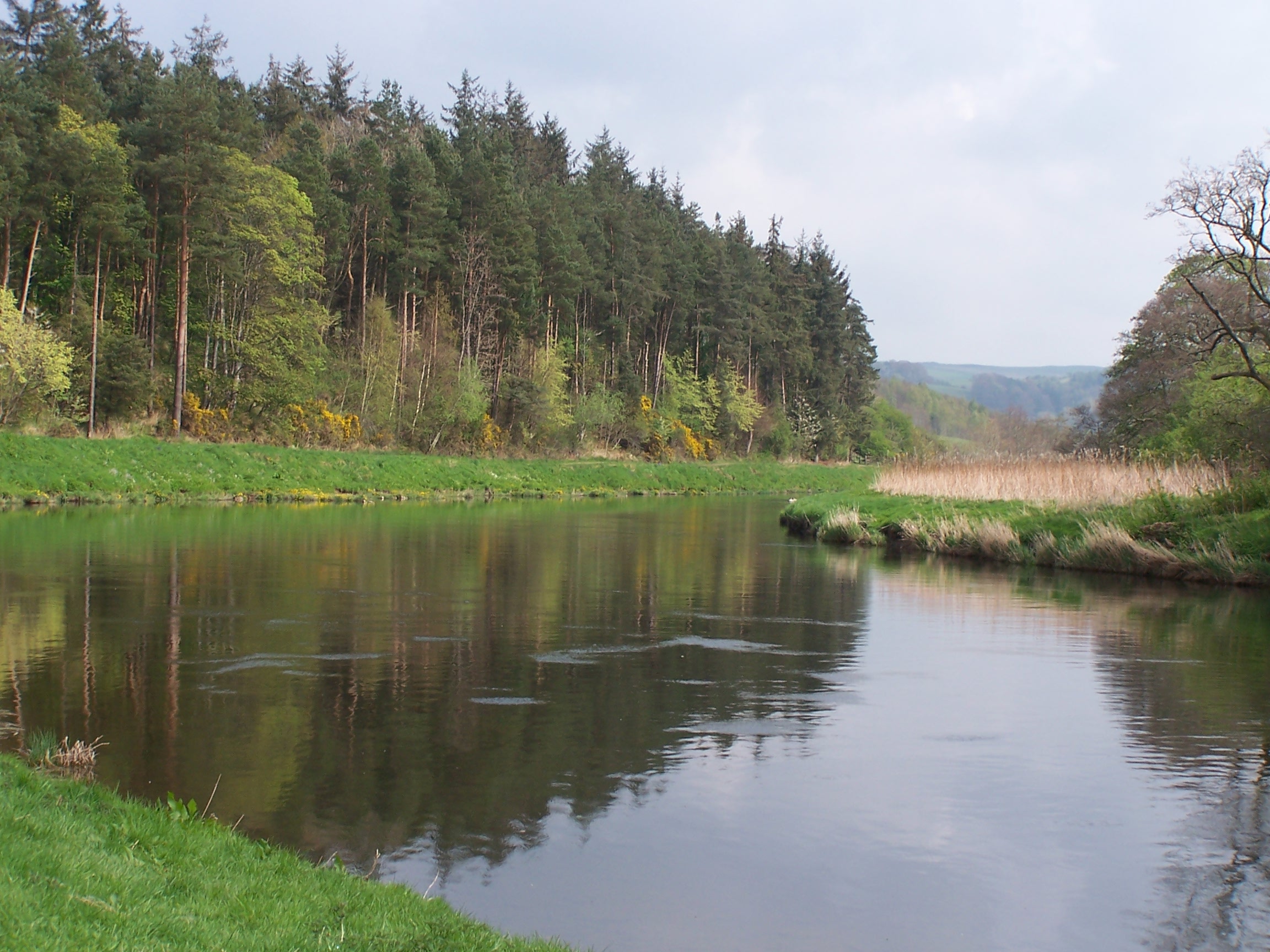 River Tweed