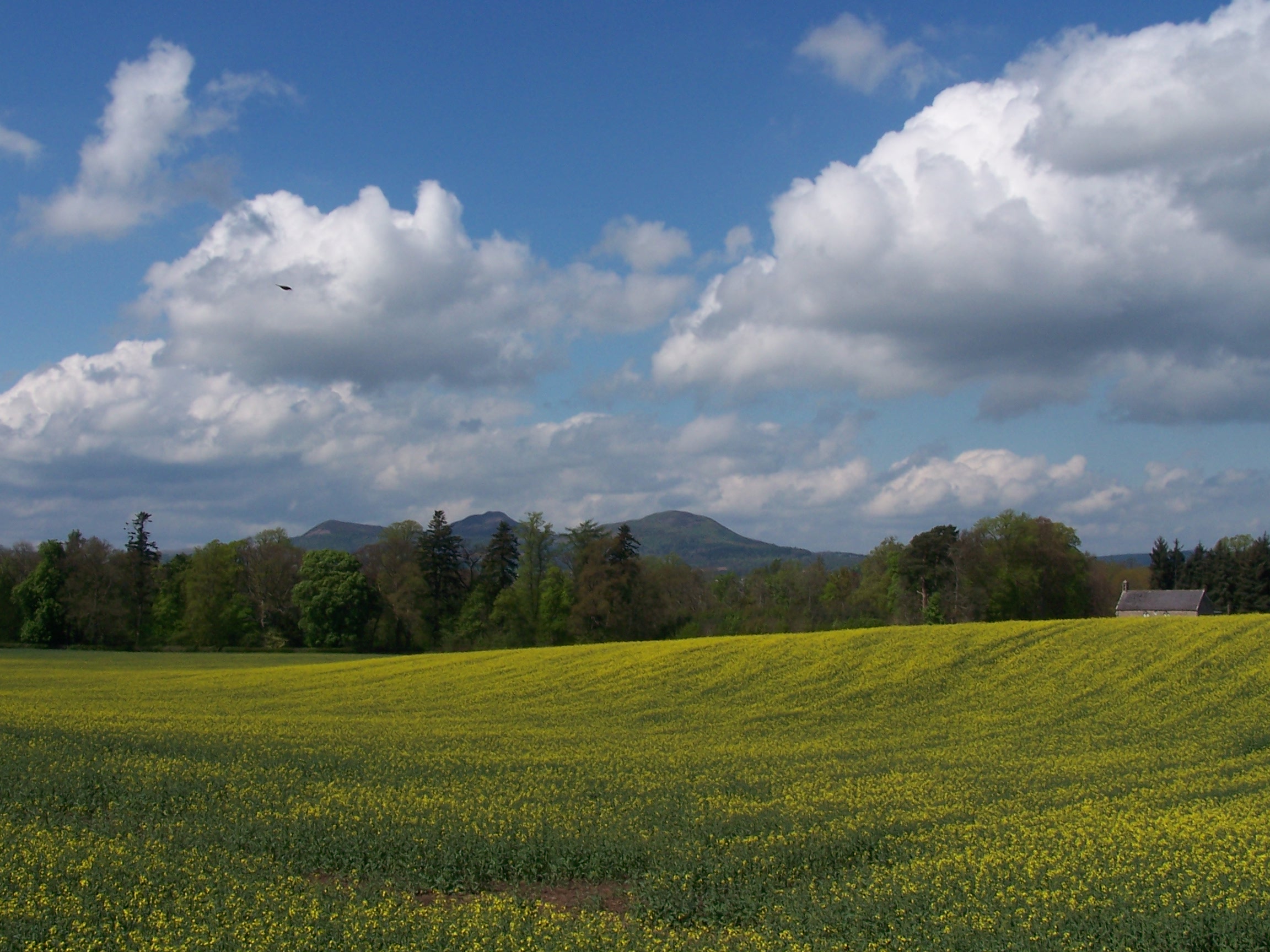 Looking back on Eldon Hills