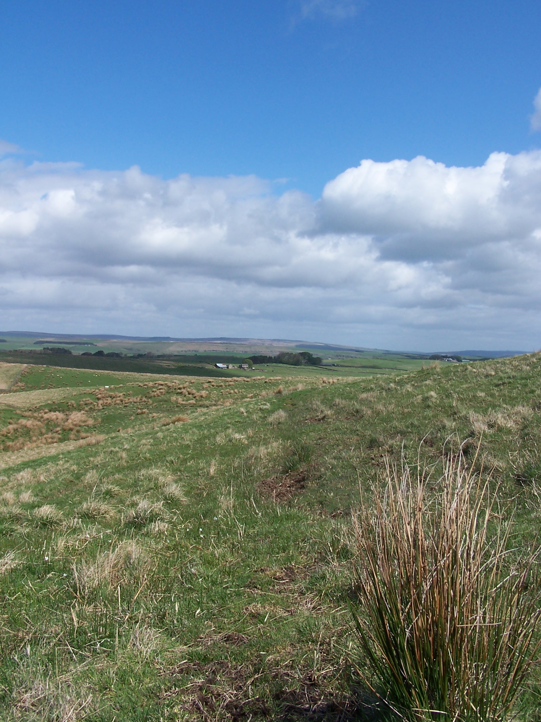 Northumberlands Rolling Hills