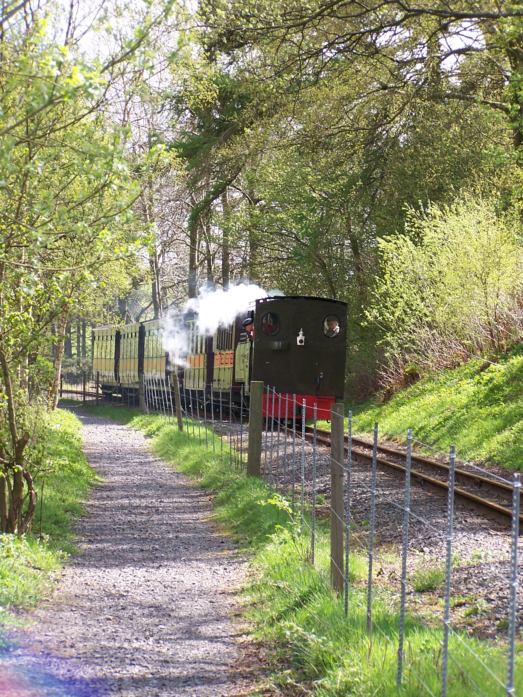 Steam Train
