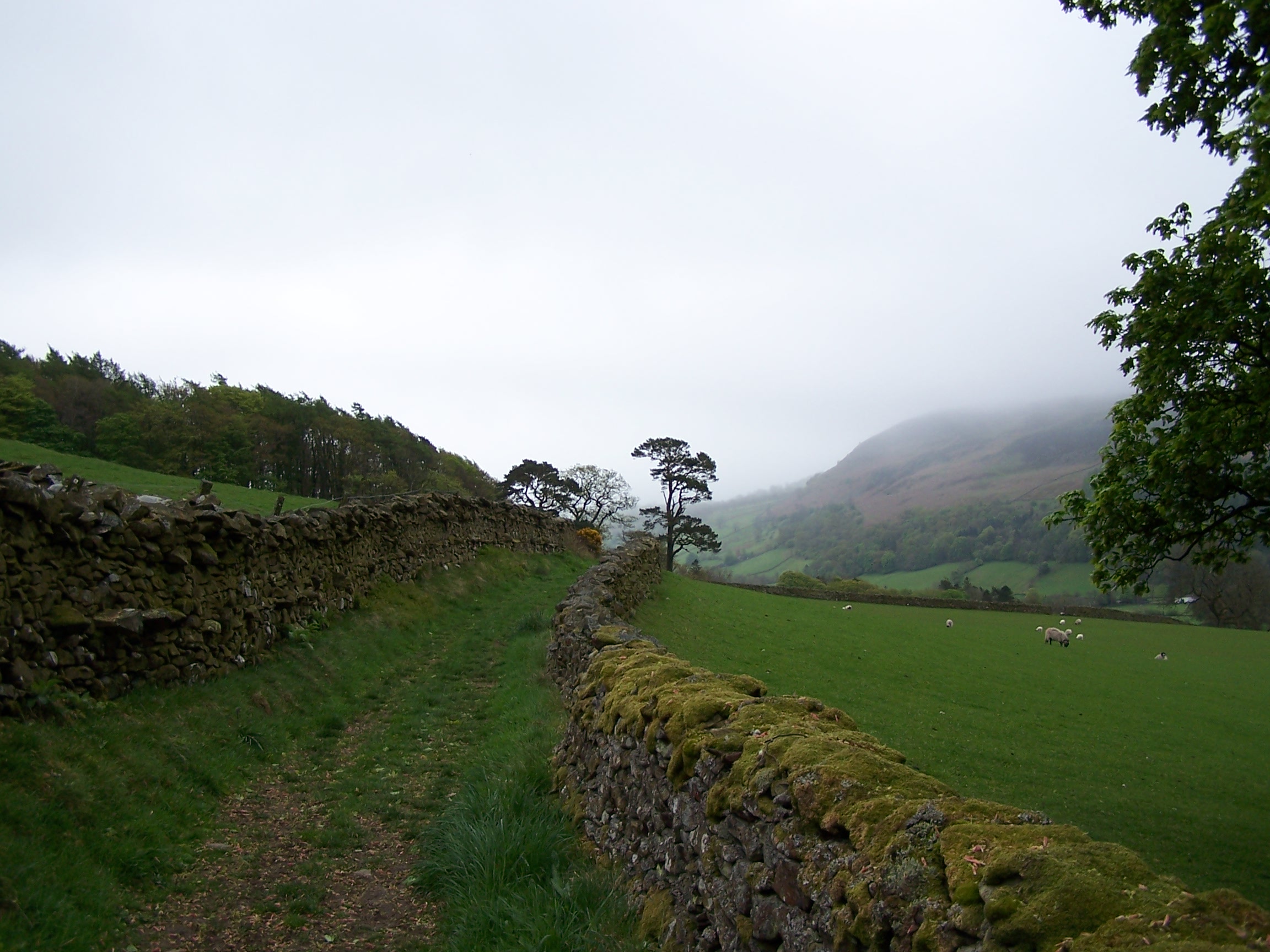 Dales Way