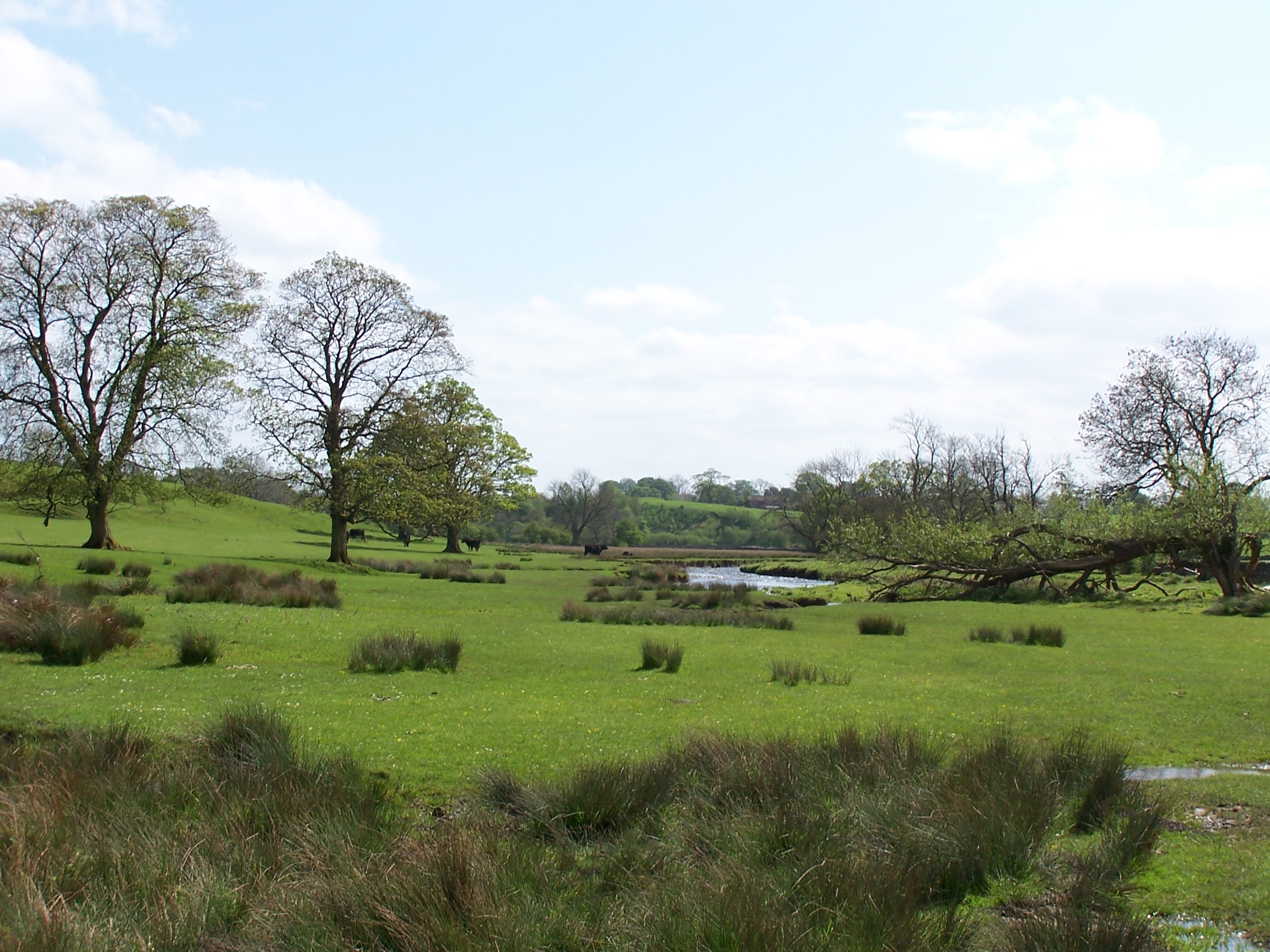 River Aire