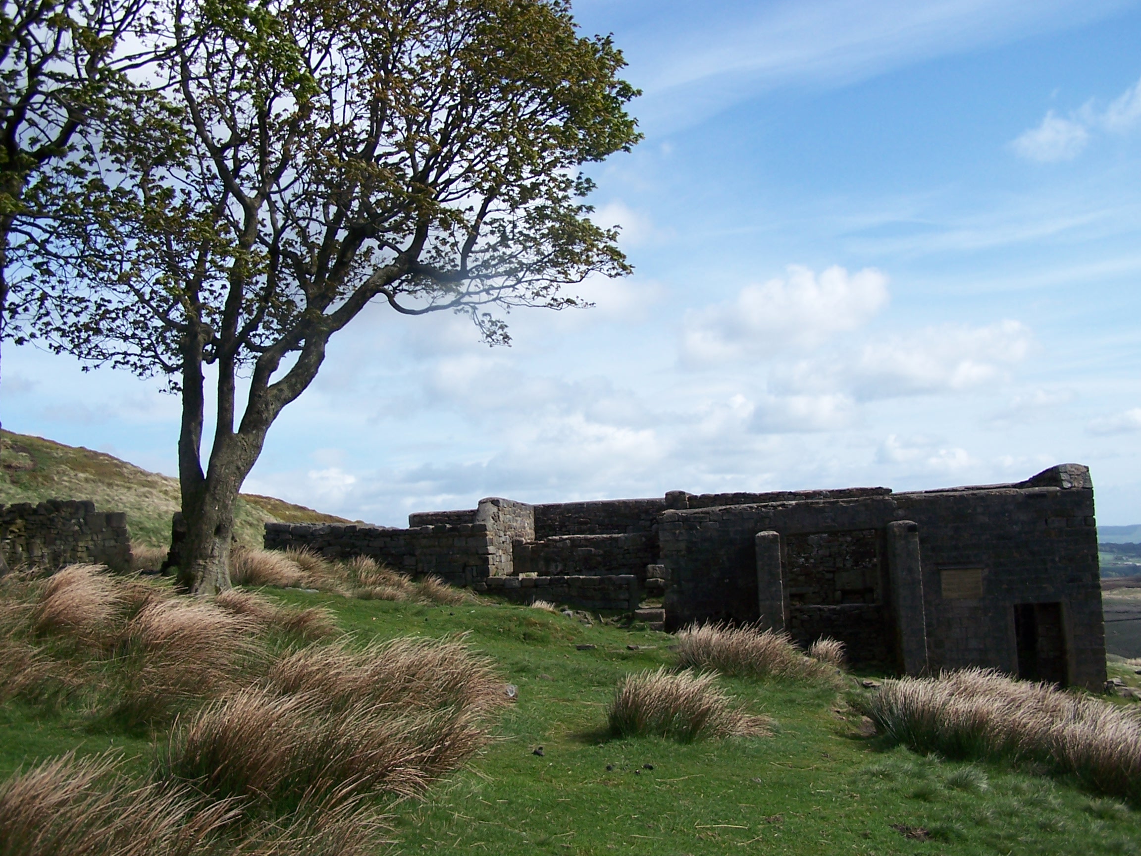 Top Withins