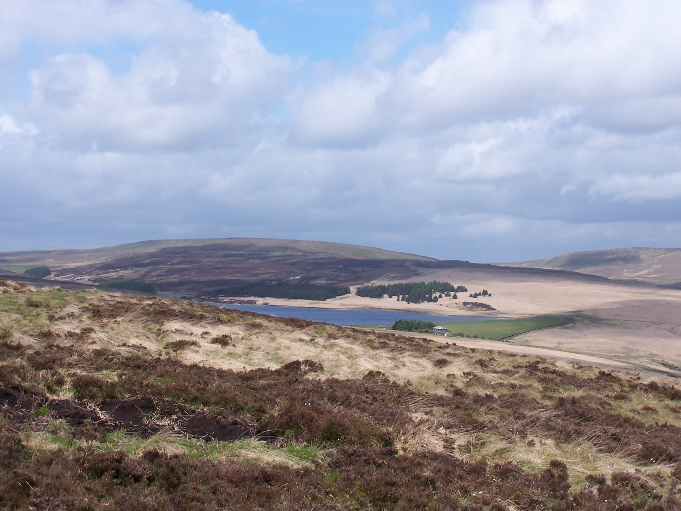 Open Moor