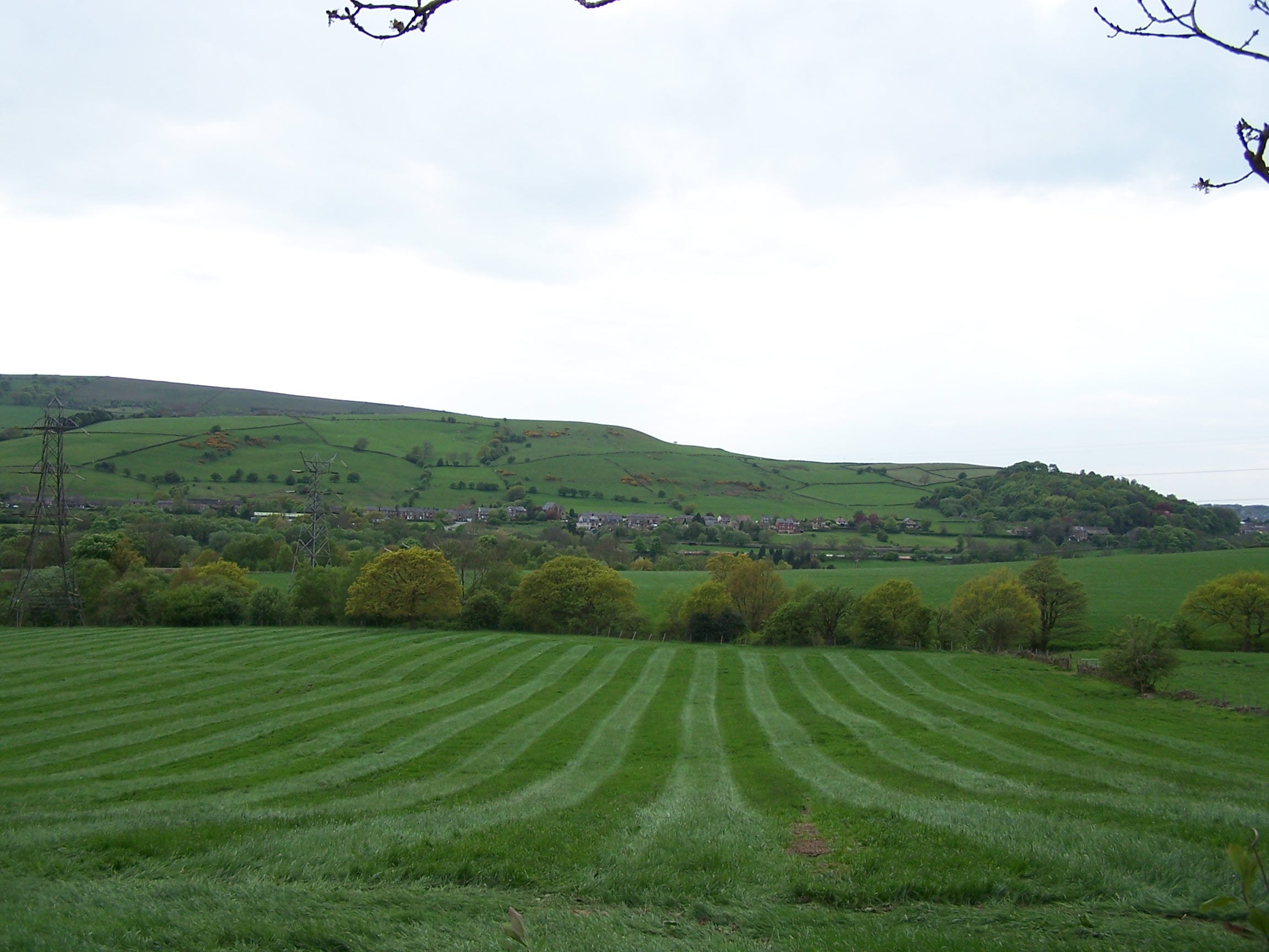 Furness Vale Home