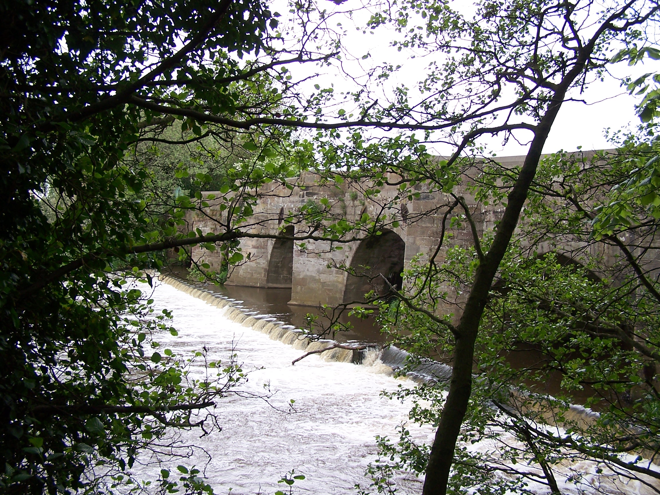Dove Bridge