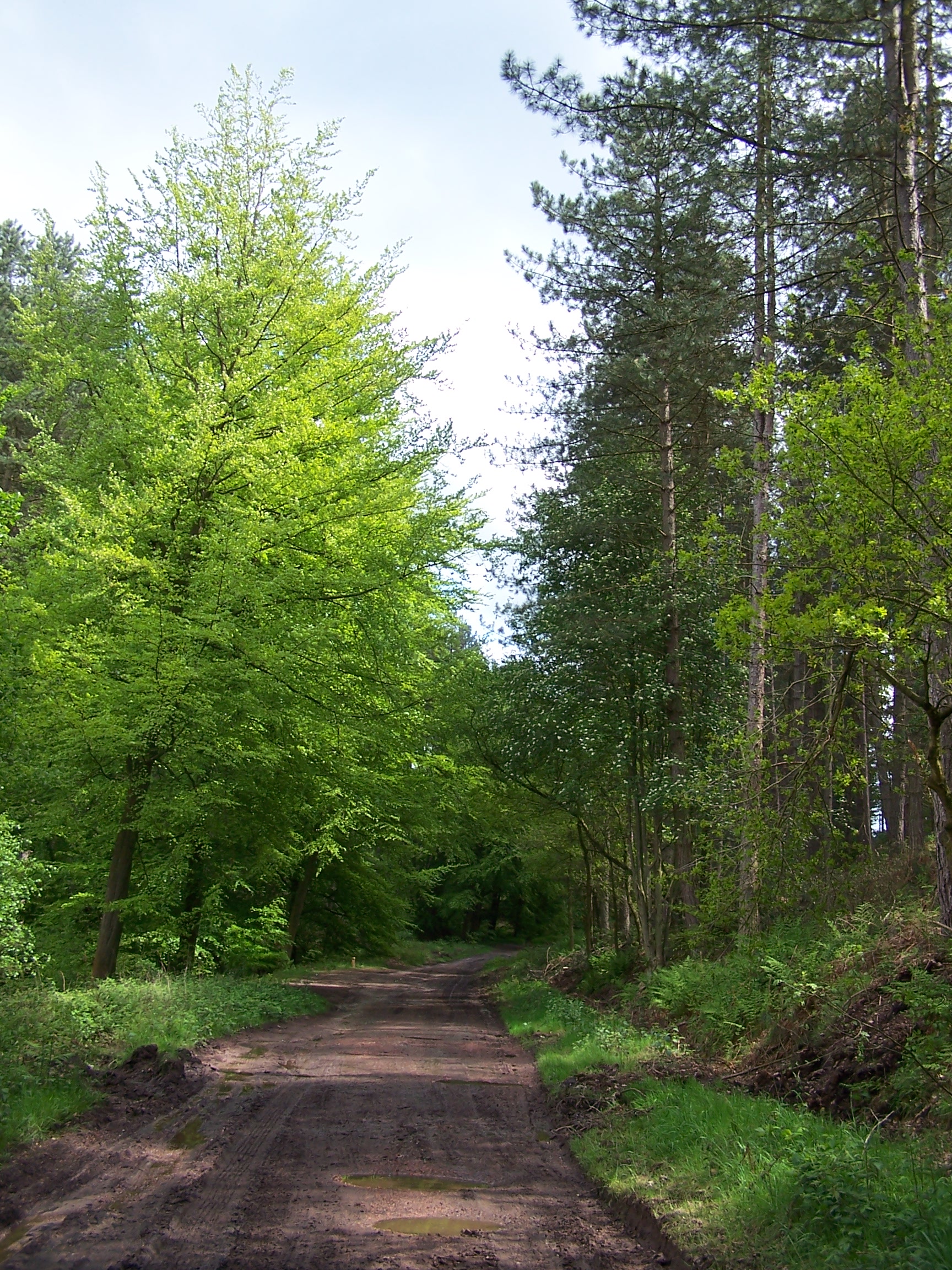 Cannock