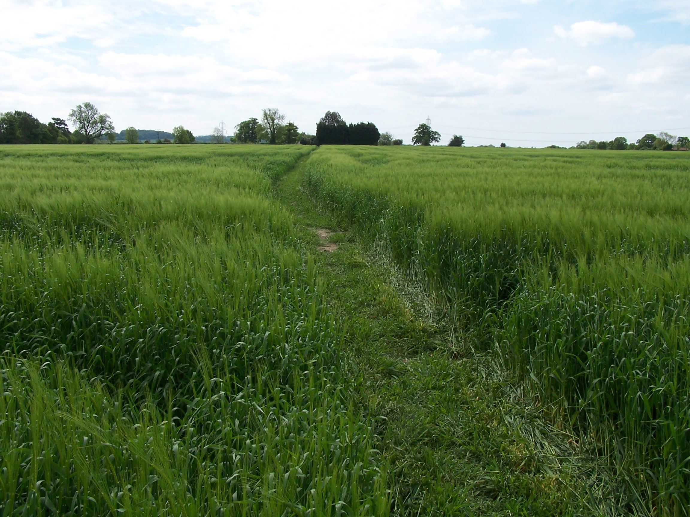 Field Path