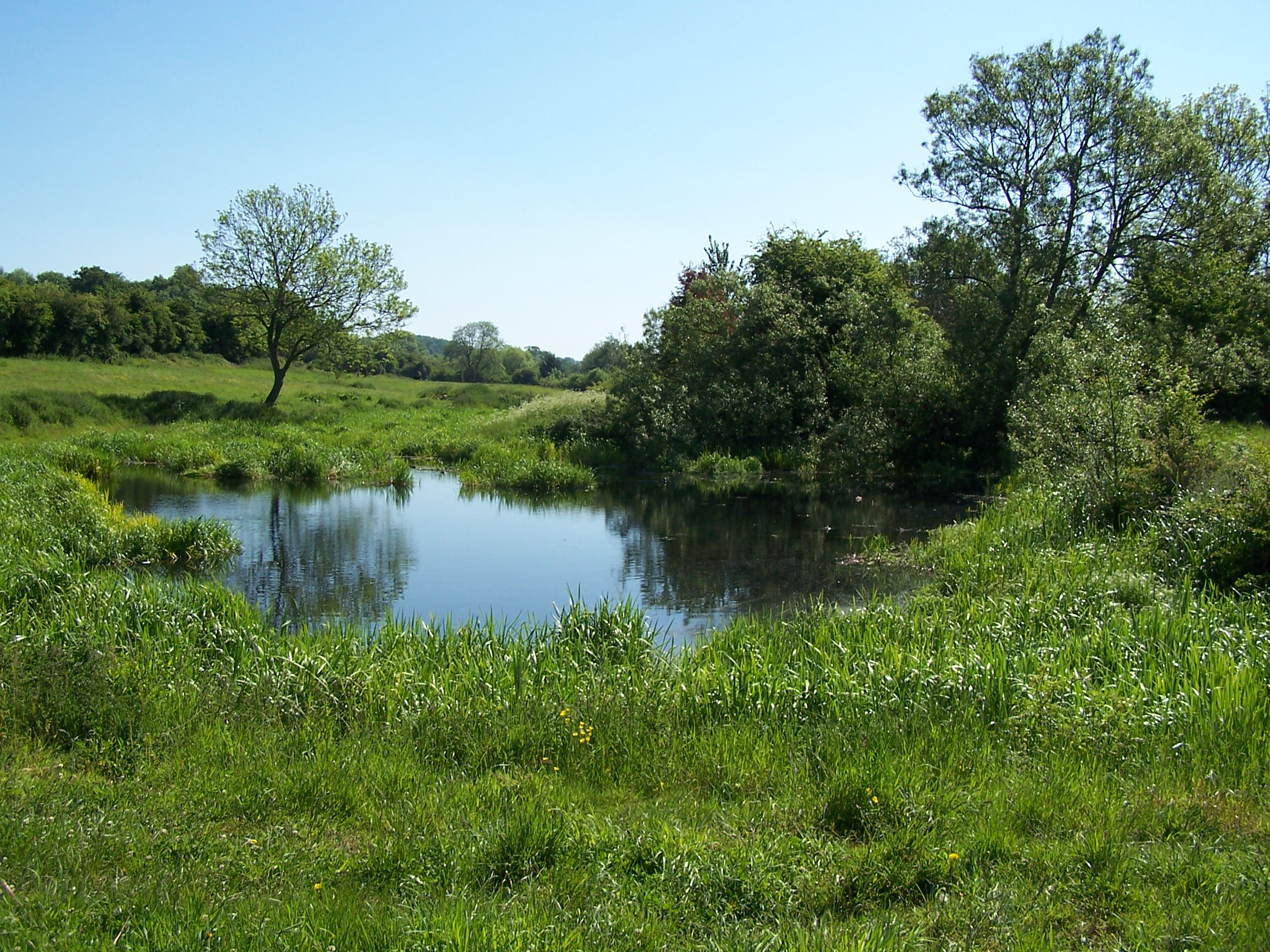 Whats left of Somersetshire Coal canal