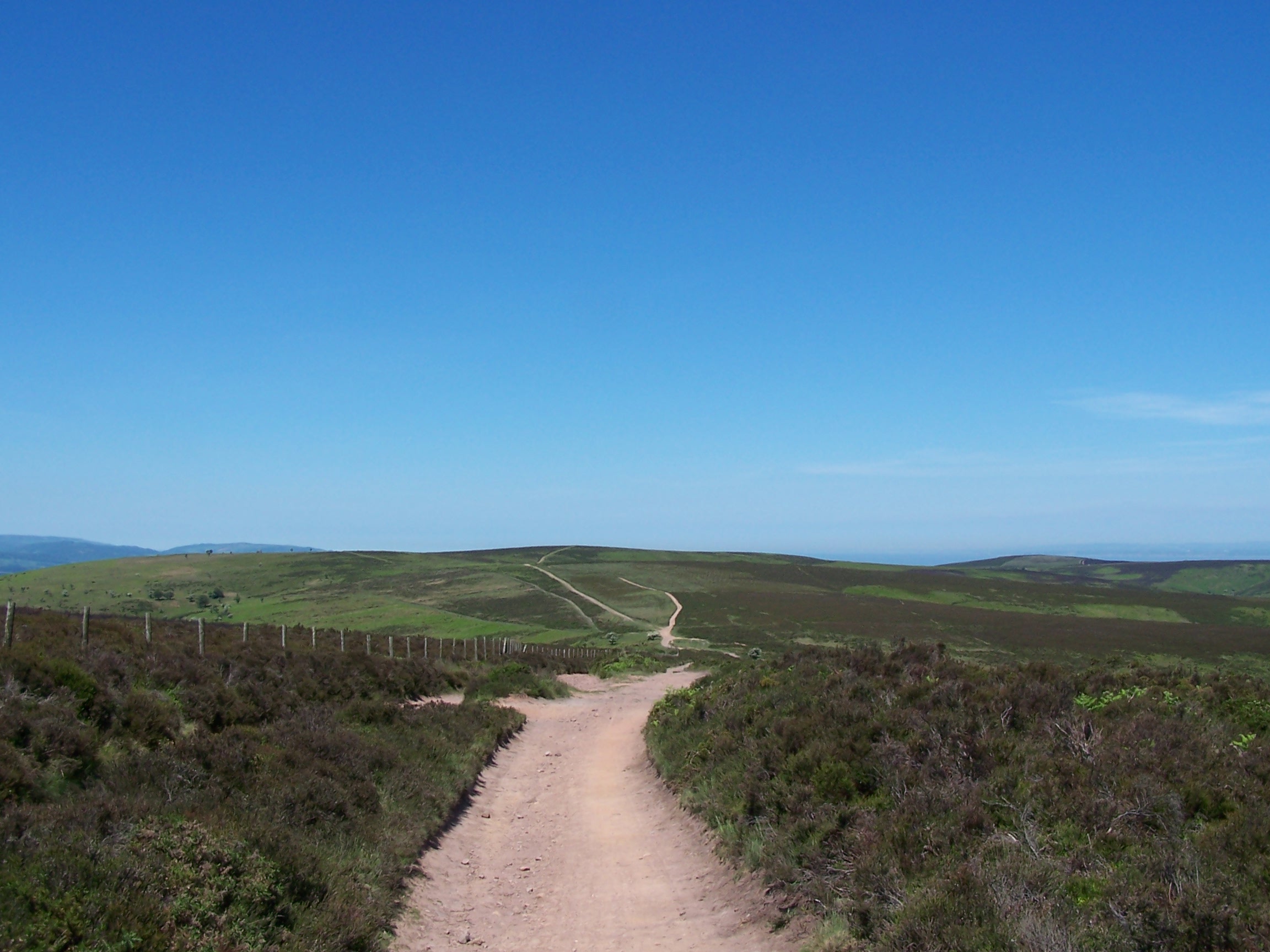 Wide Paths