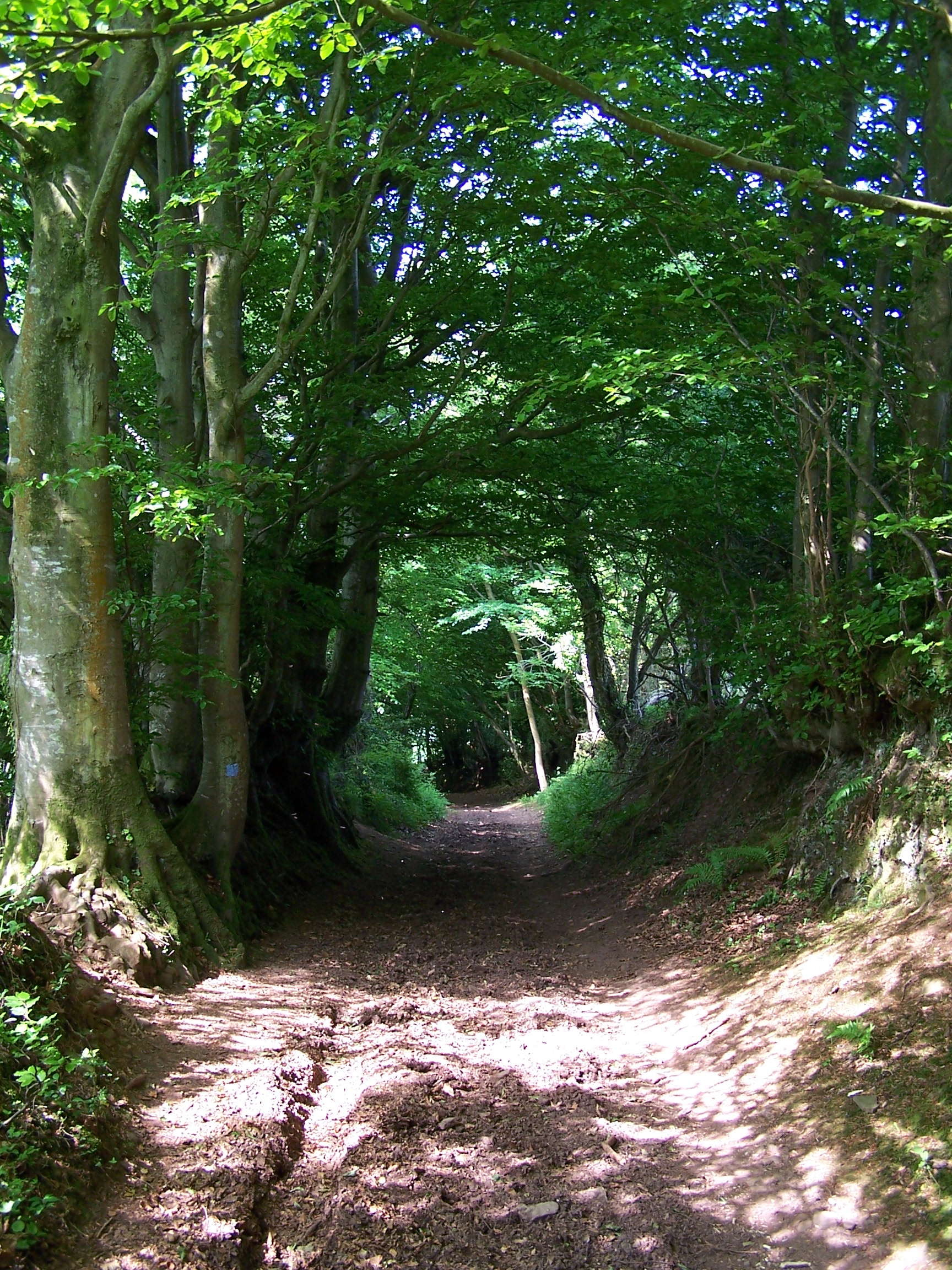 Old Track to Wootton