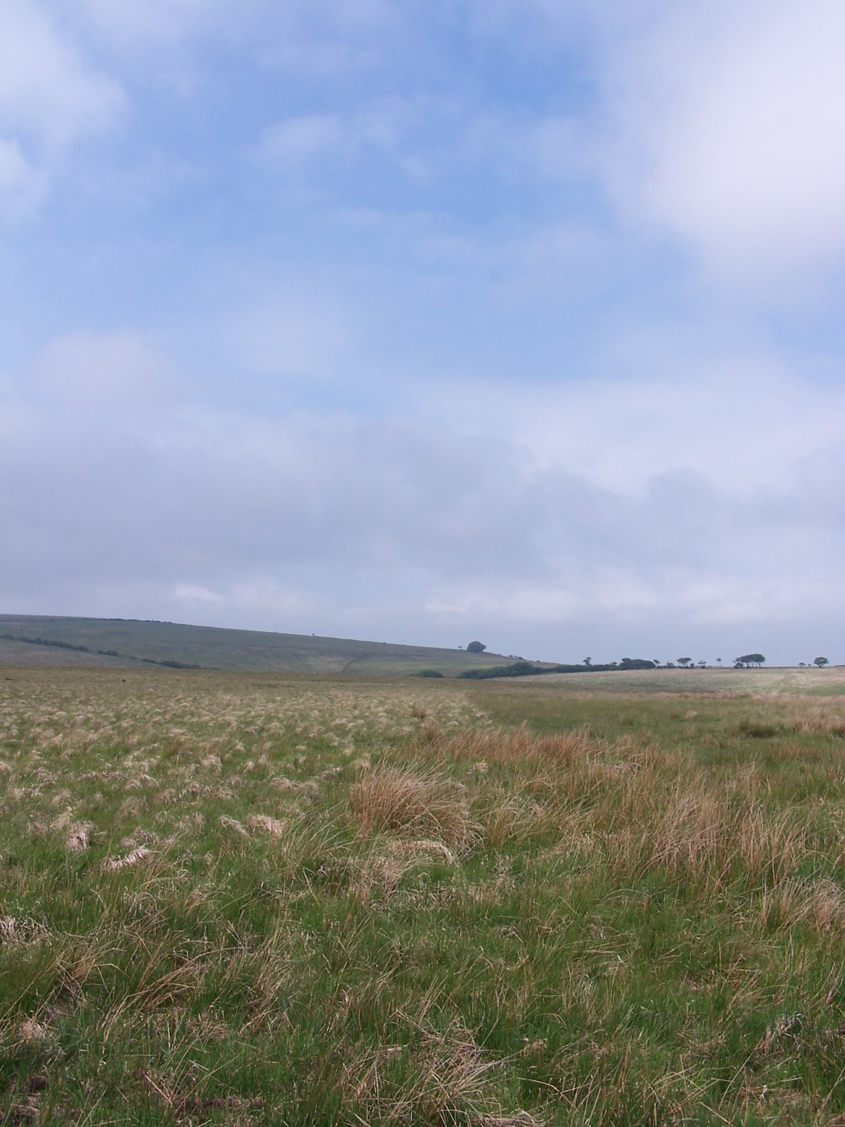 Exmoor