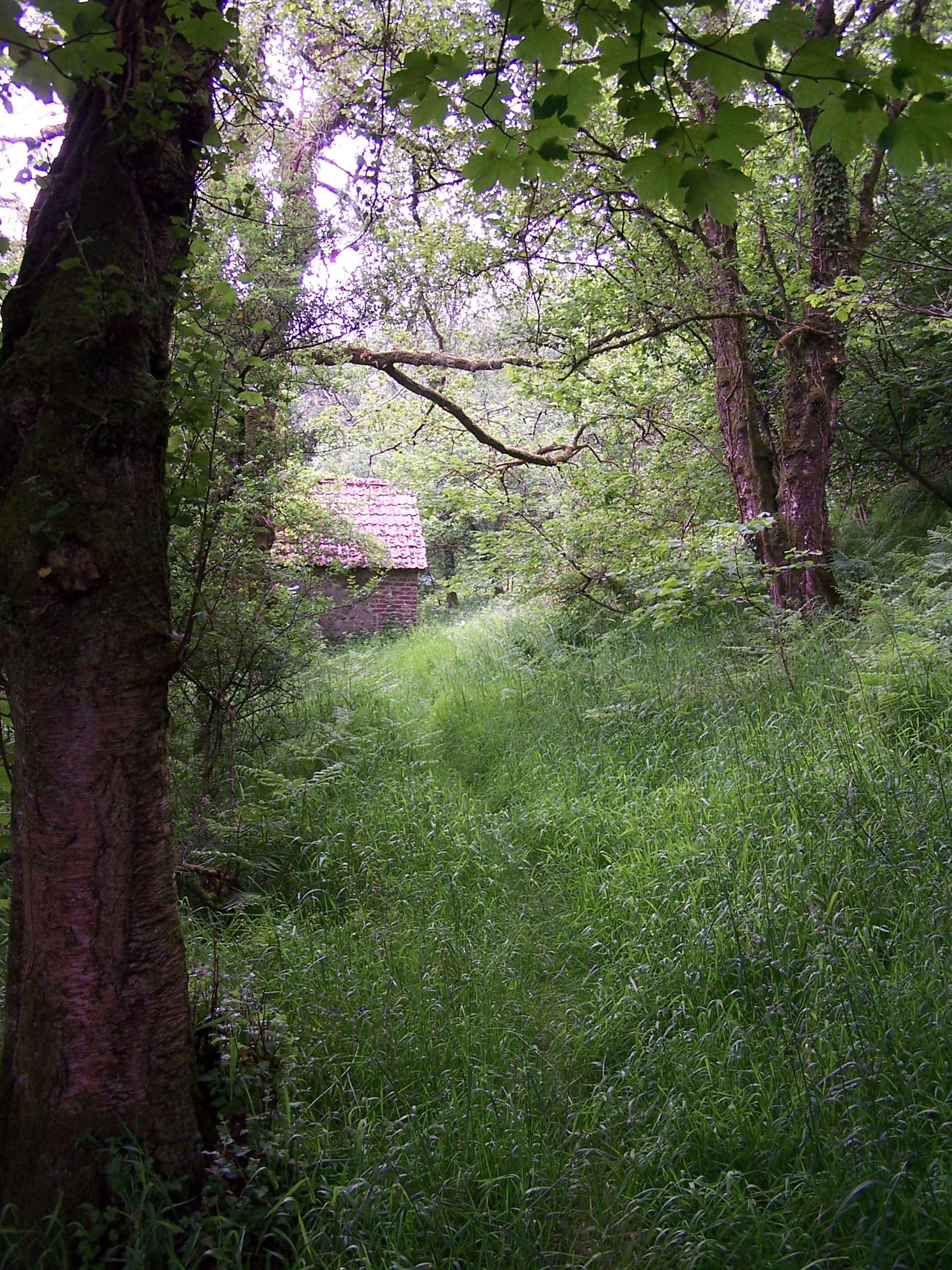 Wild tarka Trail