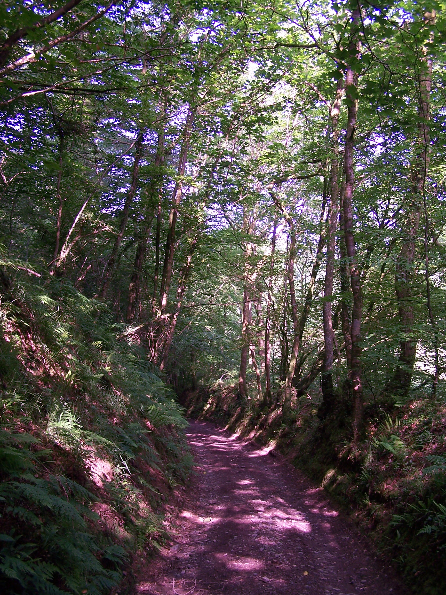 Tarka Trail