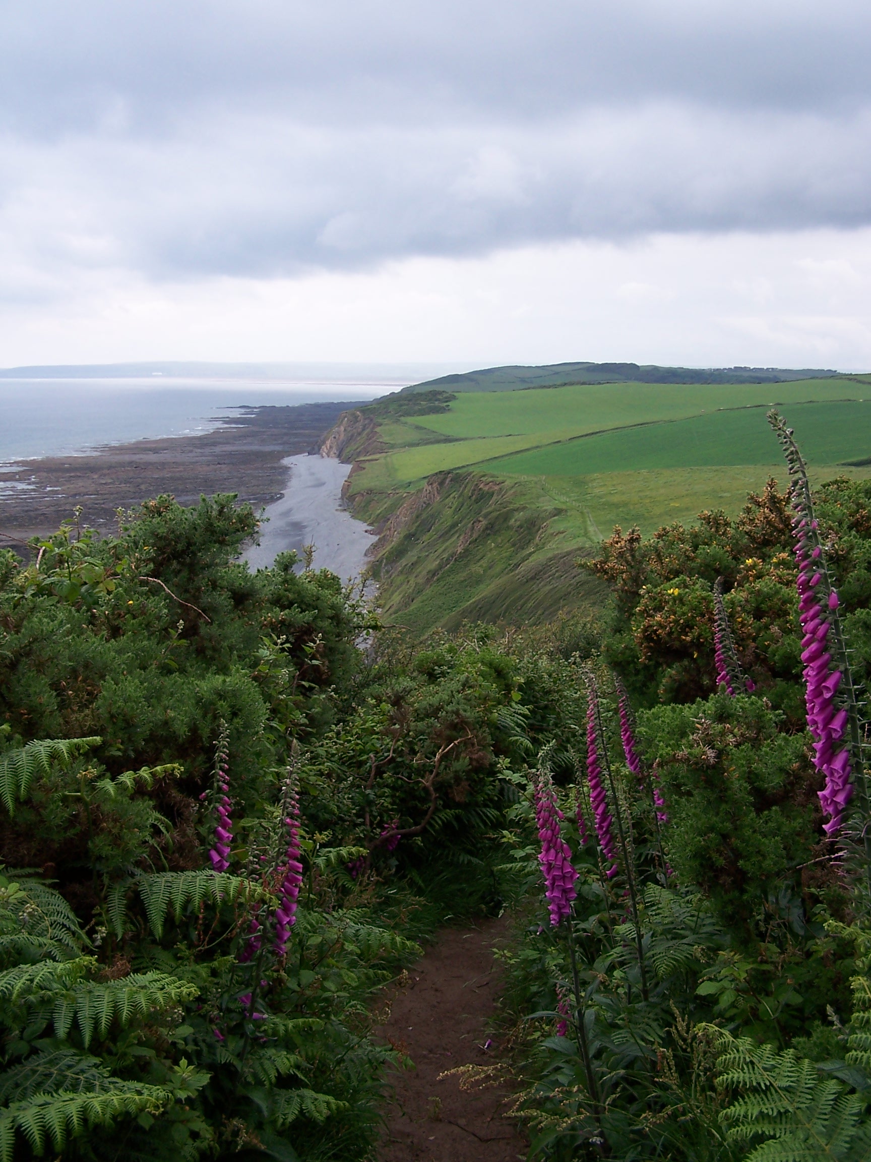 Green Cliff Coast Path