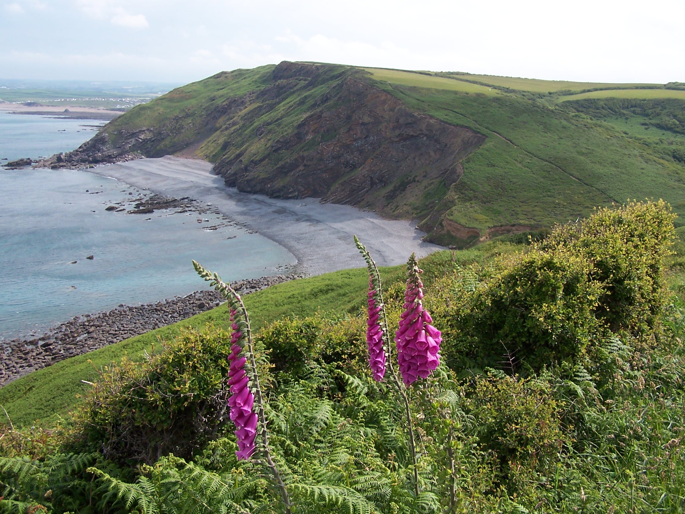 Rough coast
