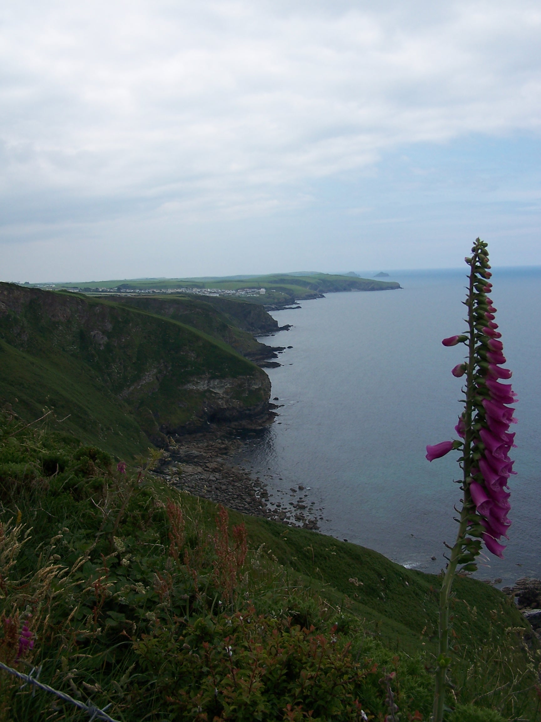 Coast